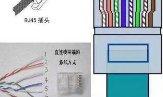 网线水晶头排线图片
