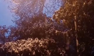 2022年初雪