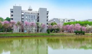 广东省大专院校排名