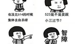 520表白套路