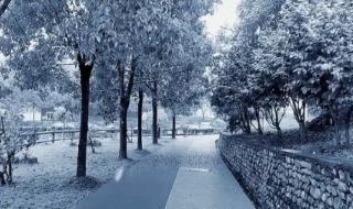 2022年初雪