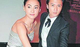 张柏芝与谢霆锋离婚