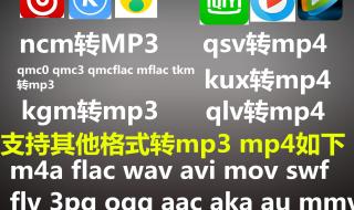 音乐格式转换工具