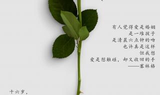 2月14日情人节文案