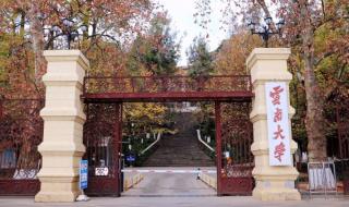 云南的大学