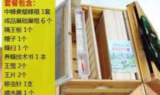 中蜂双王群
