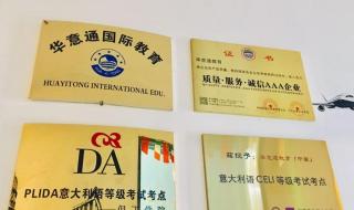 意大利签证照片尺寸