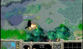 dota指挥官