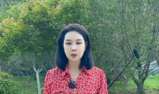 田园晚风在线收听