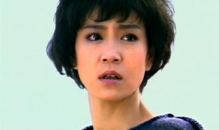 海鸥飞处彩云飞歌曲